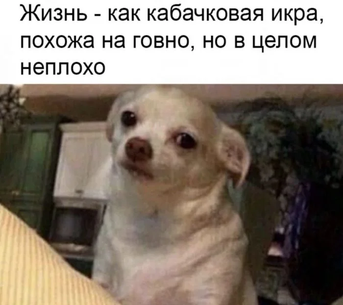 Лекарство от плохого настроения: убойная порция мемов мемы, приколы, юмор, подборка, смешное, жизненное