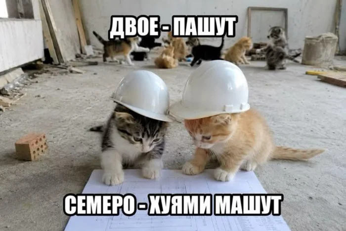 Пятиминутка смеха: свежие мемы