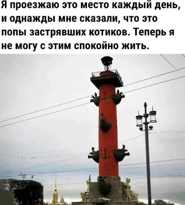 Миф об автобусе из аэропорта, который выгоден всем таксистам Миф об автобусе из аэропорта, который выгоден всем таксистам такси, аэропорт, мифы, путешествия, лайфхак