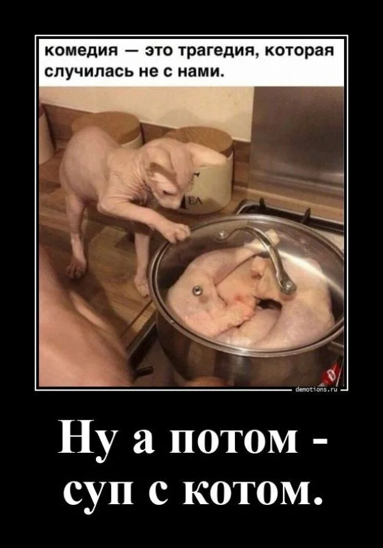 Миф об автобусе из аэропорта, который выгоден всем таксистам Миф об автобусе из аэропорта, который выгоден всем таксистам такси, аэропорт, мифы, путешествия, лайфхак