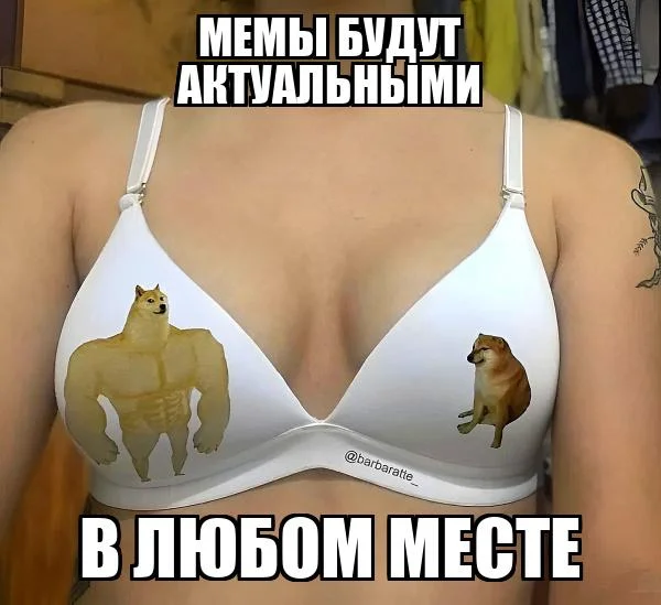 Лифчик: лучший друг или злейший враг? Лифчик: лучший друг или злейший враг? мемы, лифчик, бюстгальтер, приколы, подборка