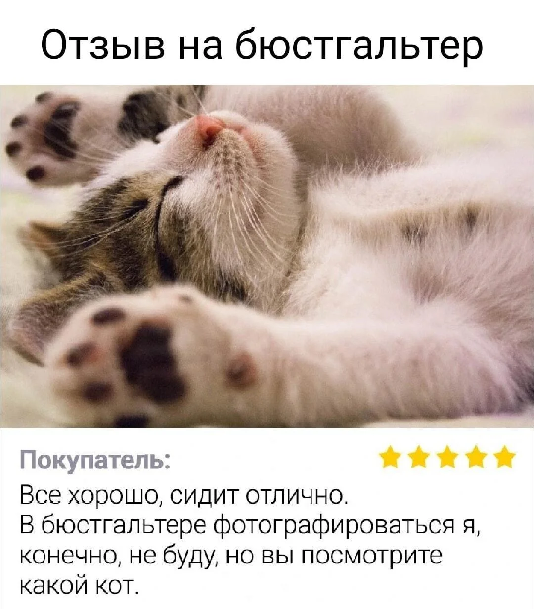 Лифчик: лучший друг или злейший враг? Лифчик: лучший друг или злейший враг? мемы, лифчик, бюстгальтер, приколы, подборка