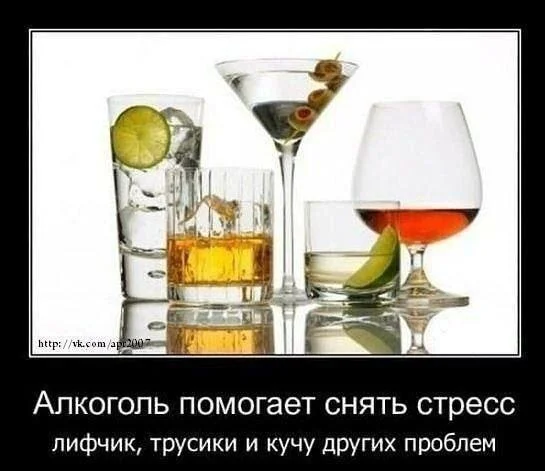 Лифчик: лучший друг или злейший враг? Лифчик: лучший друг или злейший враг? мемы, лифчик, бюстгальтер, приколы, подборка