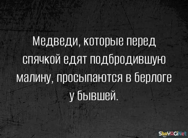 Цитаты, от которых мурашки по коже Цитаты, от которых мурашки по коже цитаты, высказывания, афоризмы, жизненное, настроение
