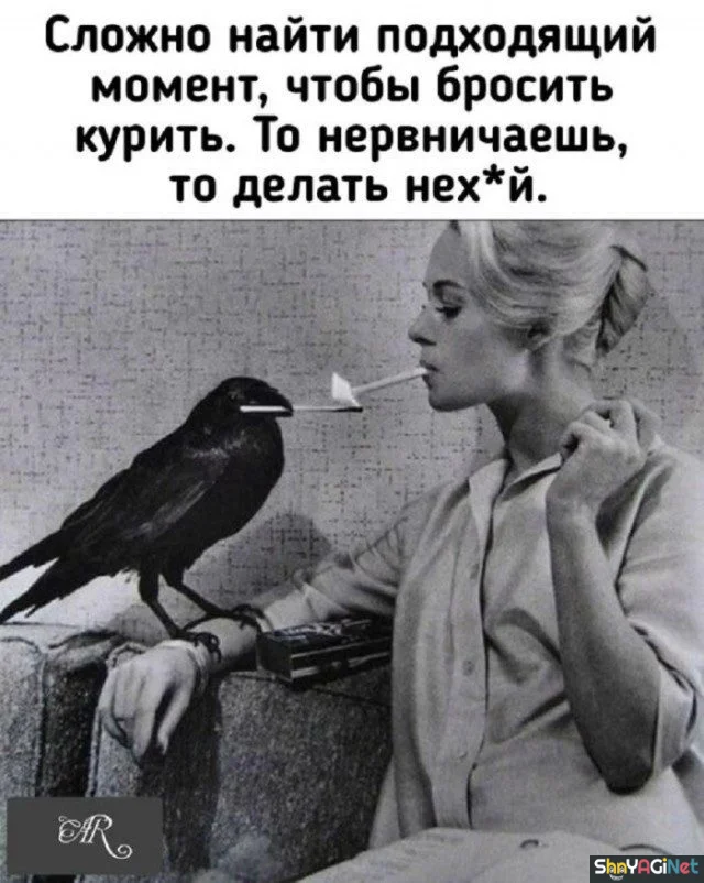 Цитаты, от которых мурашки по коже Цитаты, от которых мурашки по коже цитаты, высказывания, афоризмы, жизненное, настроение