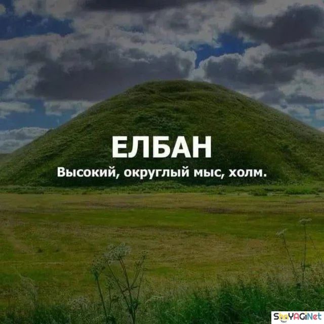 Смехопанорама: убойная порция мемов и приколов Смехопанорама: убойная порция мемов и приколов приколы, мемы, юмор, подборка, ржака