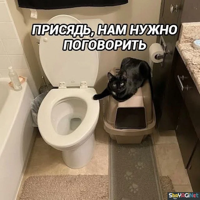 Смехопанорама: убойная порция мемов и приколов Смехопанорама: убойная порция мемов и приколов приколы, мемы, юмор, подборка, ржака