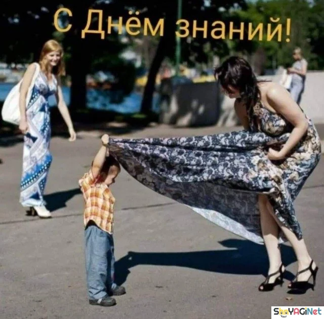 Сентябрьский угар: лучшие приколы месяца Сентябрьский угар: лучшие приколы месяца приколы, сентябрь, мемы, юмор, подборка