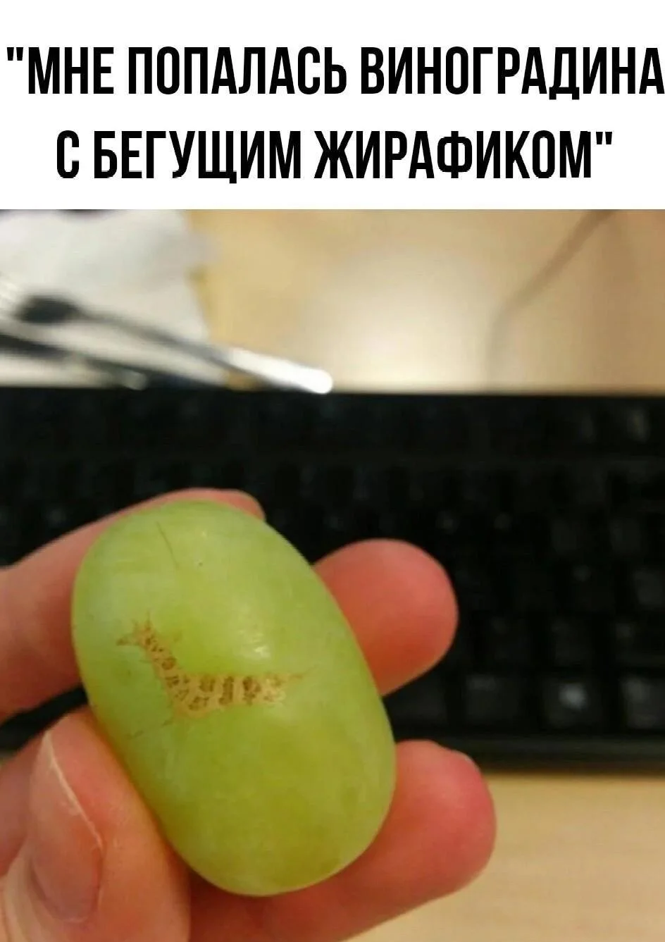 Гроздья смеха: мемы про виноград Гроздья смеха: мемы про виноград мемы, виноград, приколы, картинки, праздник, алкоголь, юмор