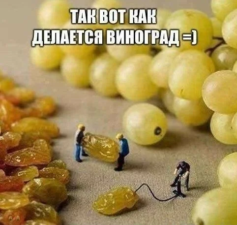 Гроздья смеха: мемы про виноград Гроздья смеха: мемы про виноград мемы, виноград, приколы, картинки, праздник, алкоголь, юмор