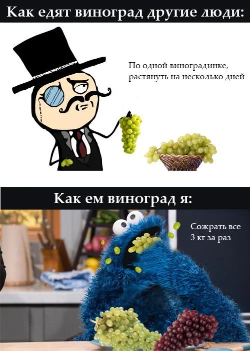 Гроздья смеха: мемы про виноград Гроздья смеха: мемы про виноград мемы, виноград, приколы, картинки, праздник, алкоголь, юмор