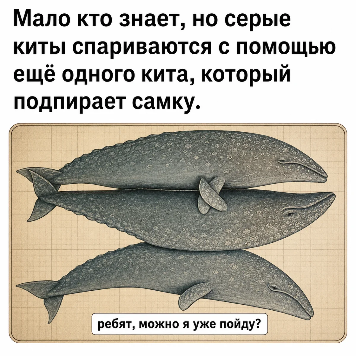 День, когда интернет снова вспомнил Шуфутинского День, когда интернет снова вспомнил Шуфутинского мемы, приколы, юмор, картинки, 3 сентября