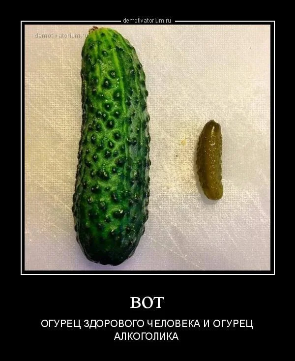 Овощной угар: 100% витаминный юмор мемы, приколы, овощи, юмор, картинки, подборка