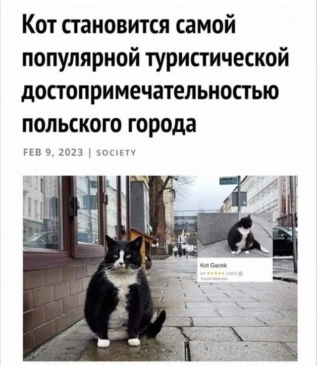 Мемный хаос: когда реальность устала стараться Мемный хаос: когда реальность устала стараться мемы, приколы, абсурд, юмор, подборка