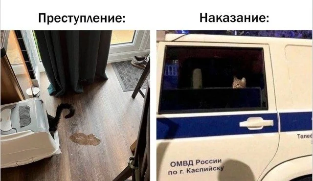 Мемный хаос: когда реальность устала стараться Мемный хаос: когда реальность устала стараться мемы, приколы, абсурд, юмор, подборка