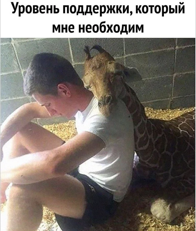 Мемный хаос: когда реальность устала стараться Мемный хаос: когда реальность устала стараться мемы, приколы, абсурд, юмор, подборка