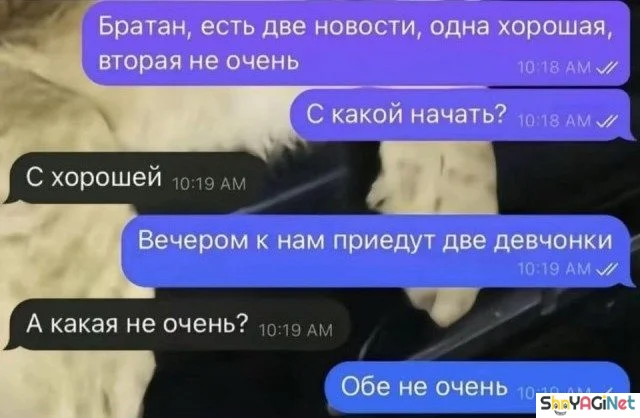 Смешные СМС-диалоги для поднятия настроения Смешные СМС-диалоги для поднятия настроения приколы, смс, юмор, переписки, подборка