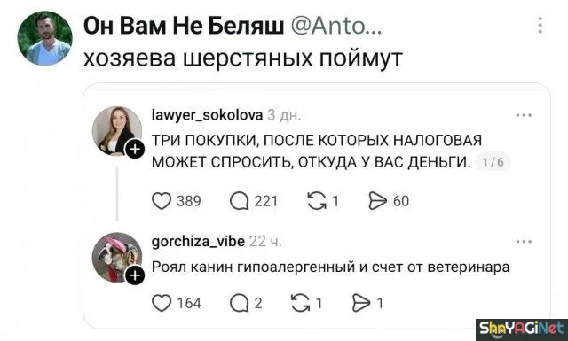 Смех сквозь слезы: лучшие комментарии недели смешные комментарии, приколы из соцсетей, подборка, юмор, ржака