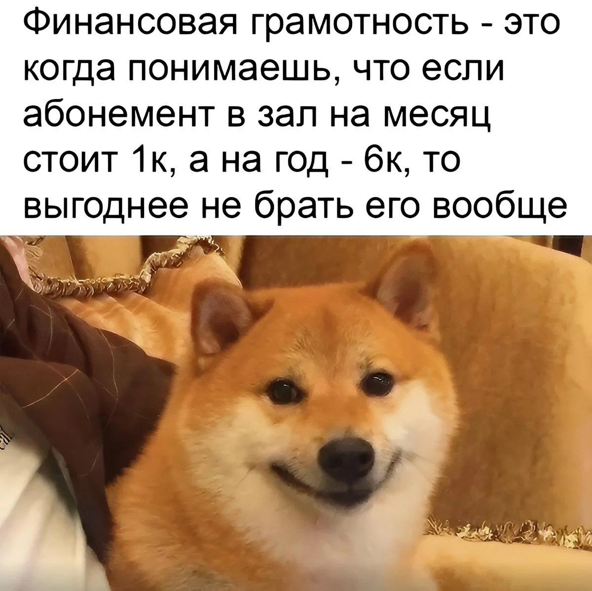Научные мемы. Выпуск 15: проверка на IQ Научные мемы. Выпуск 15: проверка на IQ наука, мемы, юмор, приколы, интеллект