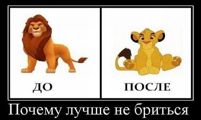 Бородатые мемы: юмор, который цепляет мемы, приколы, борода, юмор, подборка