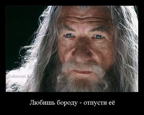 Бородатые мемы: юмор, который цепляет мемы, приколы, борода, юмор, подборка