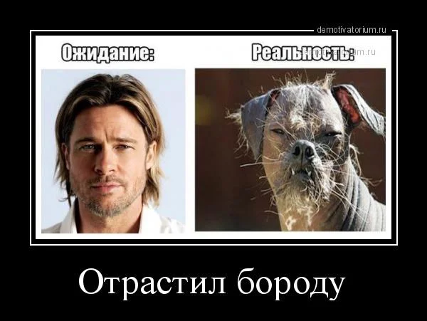 Бородатые мемы: юмор, который цепляет мемы, приколы, борода, юмор, подборка