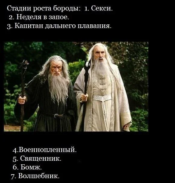 Бородатые мемы: юмор, который цепляет мемы, приколы, борода, юмор, подборка