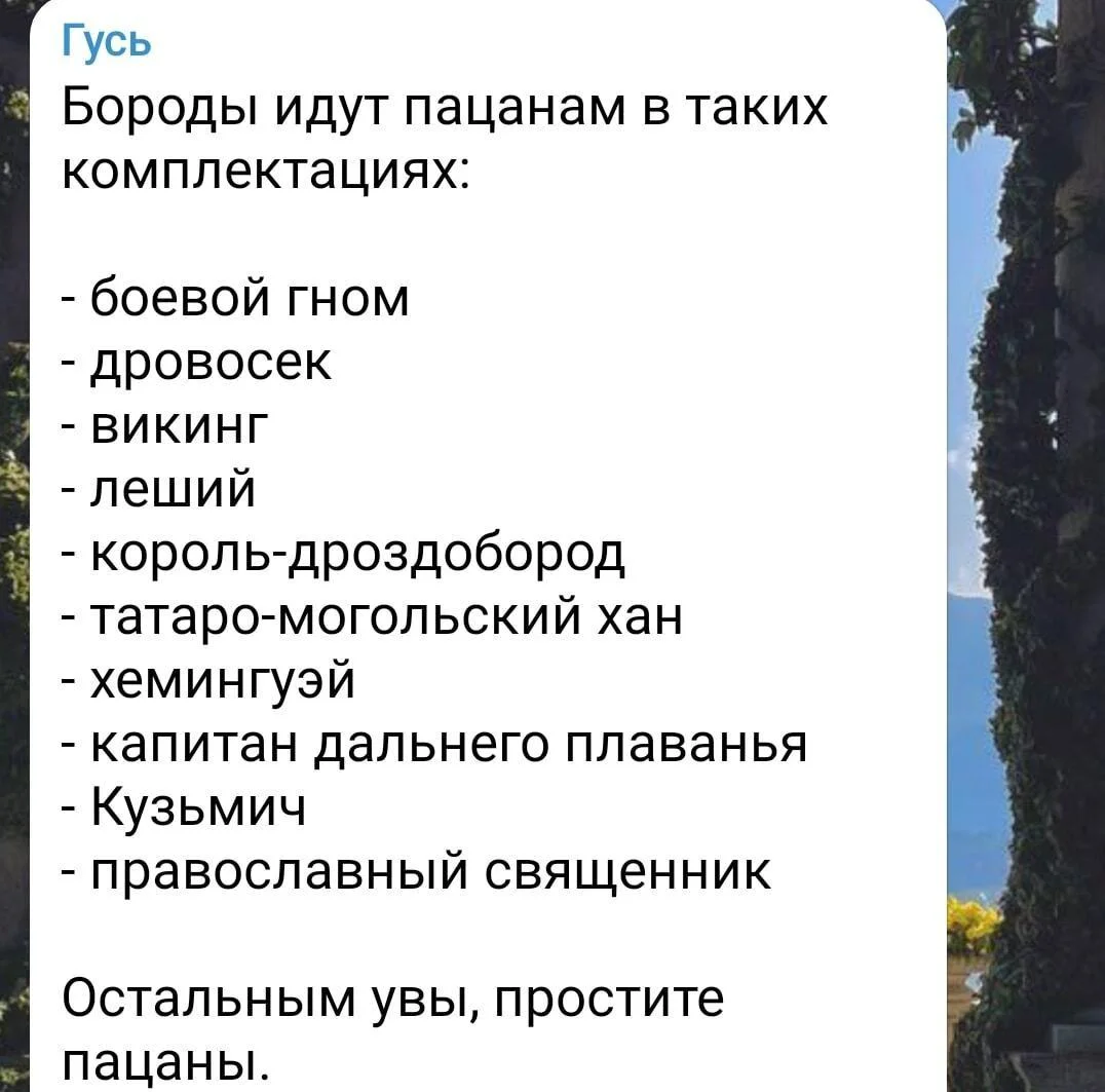 Бородатые мемы: юмор, который цепляет мемы, приколы, борода, юмор, подборка