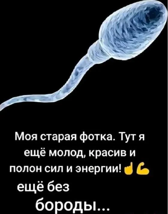 Бородатые мемы: юмор, который цепляет мемы, приколы, борода, юмор, подборка