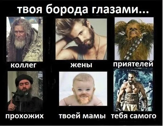 Бородатые мемы: юмор, который цепляет мемы, приколы, борода, юмор, подборка