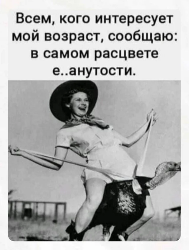 Воскресный вайб: мемы для полного релакса Воскресный вайб: мемы для полного релакса мемы, приколы, юмор, воскресенье, отдых