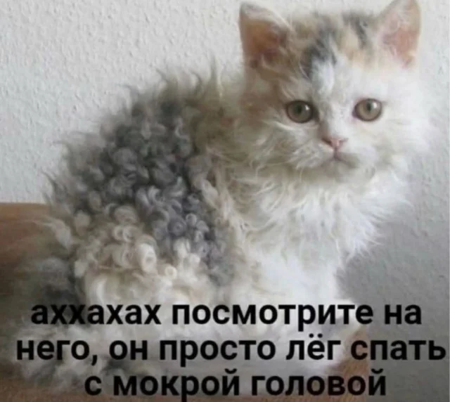Воскресный вайб: мемы для полного релакса Воскресный вайб: мемы для полного релакса мемы, приколы, юмор, воскресенье, отдых