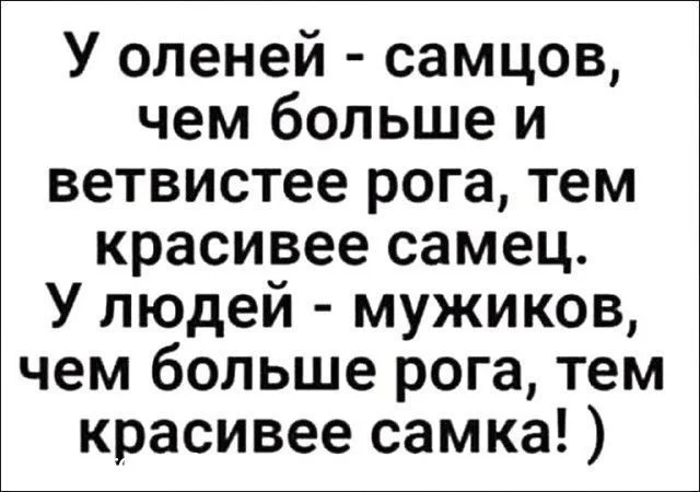 Воскресный вайб: мемы для полного релакса Воскресный вайб: мемы для полного релакса мемы, приколы, юмор, воскресенье, отдых