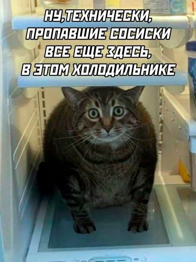 Воскресный вайб: мемы для полного релакса Воскресный вайб: мемы для полного релакса мемы, приколы, юмор, воскресенье, отдых