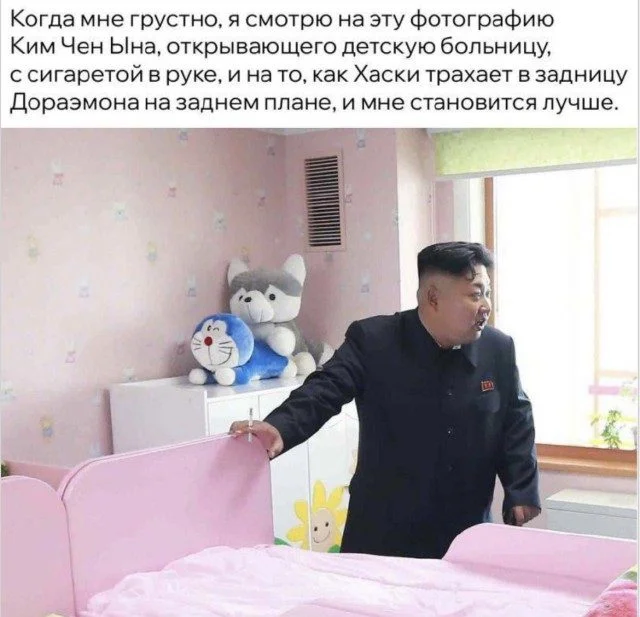 Уморительные питомцы: от смеха до умиления Уморительные питомцы: от смеха до умиления животные, собаки, коты, приколы, настроение, фото