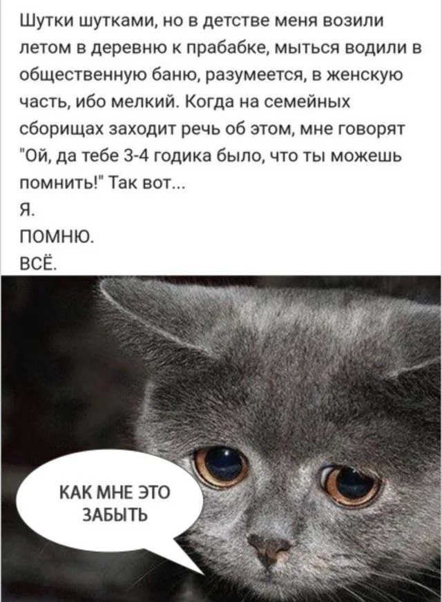 Уморительные питомцы: от смеха до умиления