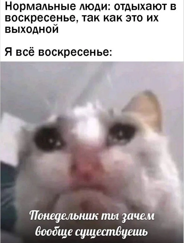 Уморительные питомцы: от смеха до умиления Уморительные питомцы: от смеха до умиления животные, собаки, коты, приколы, настроение, фото