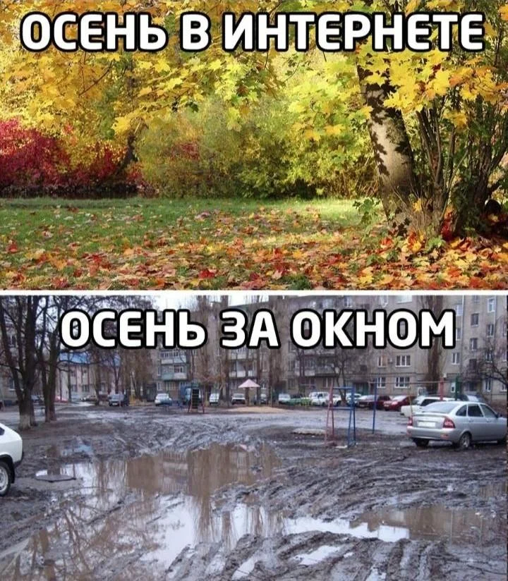Осень в мемах: подборка, которая согреет мемы, осень, приколы, юмор, подборка