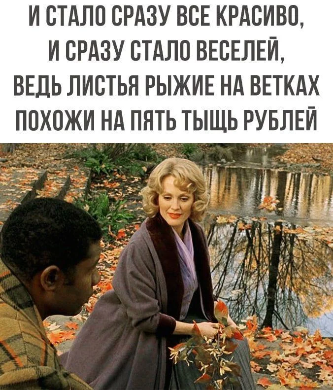 Осень в мемах: подборка, которая согреет мемы, осень, приколы, юмор, подборка