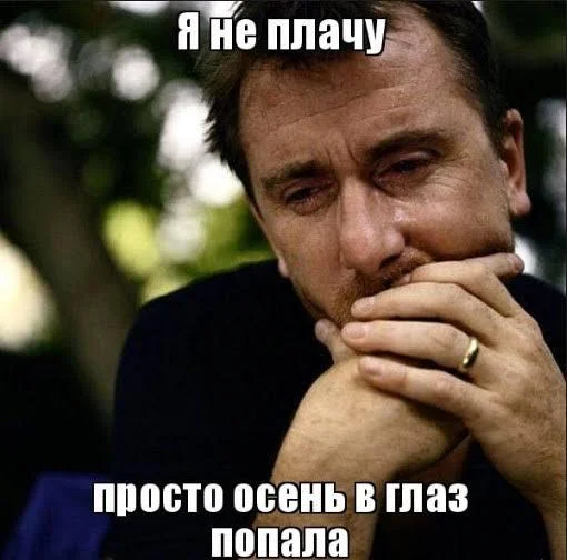 Осень в мемах: подборка, которая согреет мемы, осень, приколы, юмор, подборка