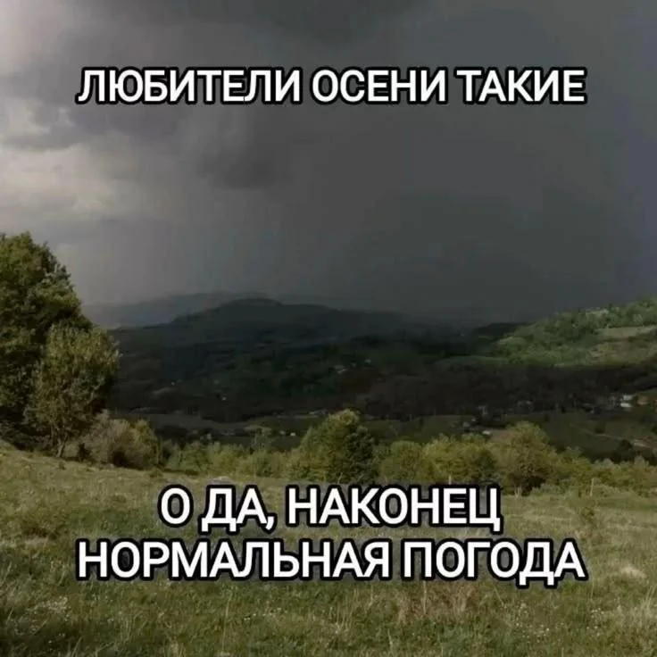 Осень в мемах: подборка, которая согреет мемы, осень, приколы, юмор, подборка