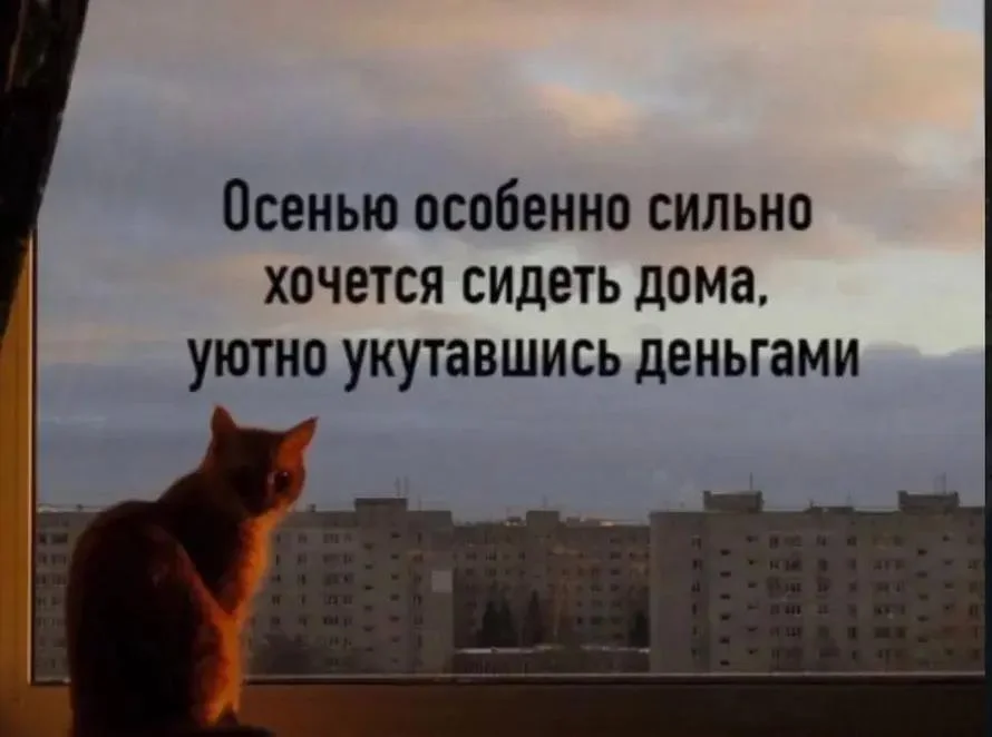 Осень в мемах: подборка, которая согреет мемы, осень, приколы, юмор, подборка