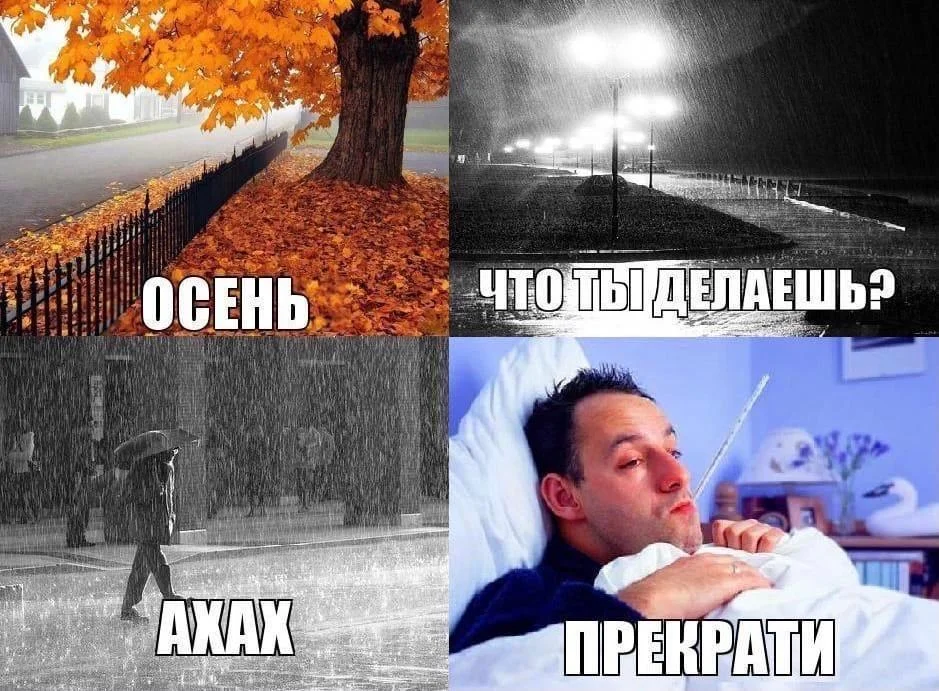 Осень в мемах: подборка, которая согреет мемы, осень, приколы, юмор, подборка