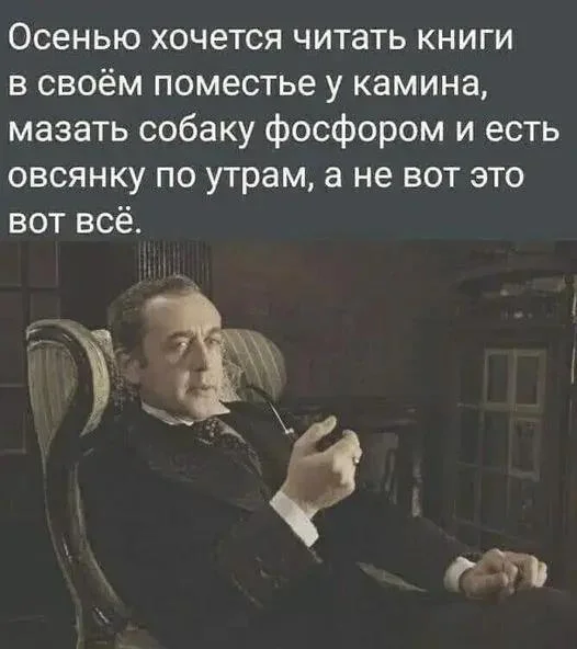 Осень в мемах: подборка, которая согреет мемы, осень, приколы, юмор, подборка