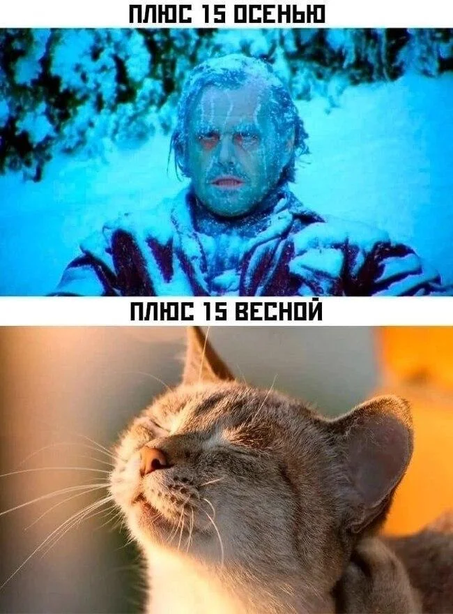 Осень в мемах: подборка, которая согреет мемы, осень, приколы, юмор, подборка