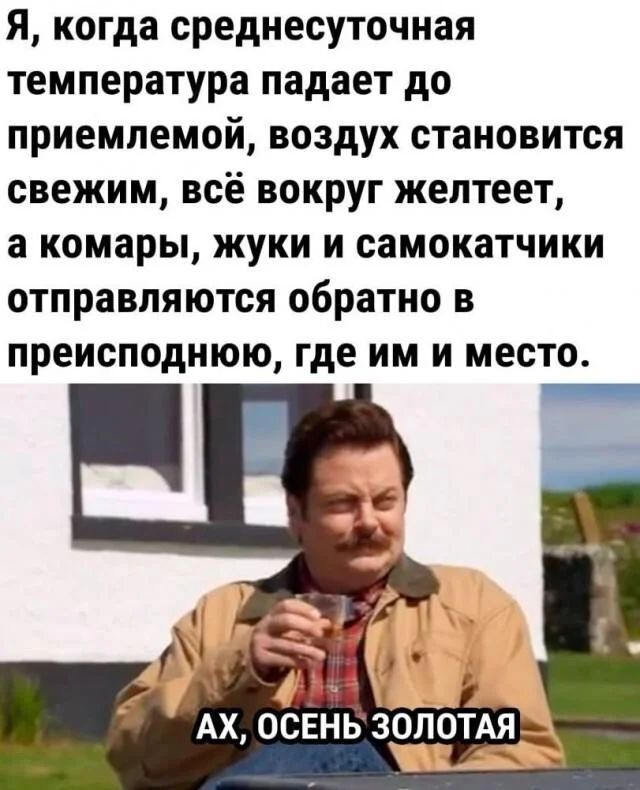 Осень в мемах: подборка, которая согреет мемы, осень, приколы, юмор, подборка