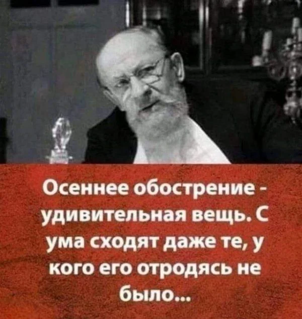 Осень в мемах: подборка, которая согреет мемы, осень, приколы, юмор, подборка