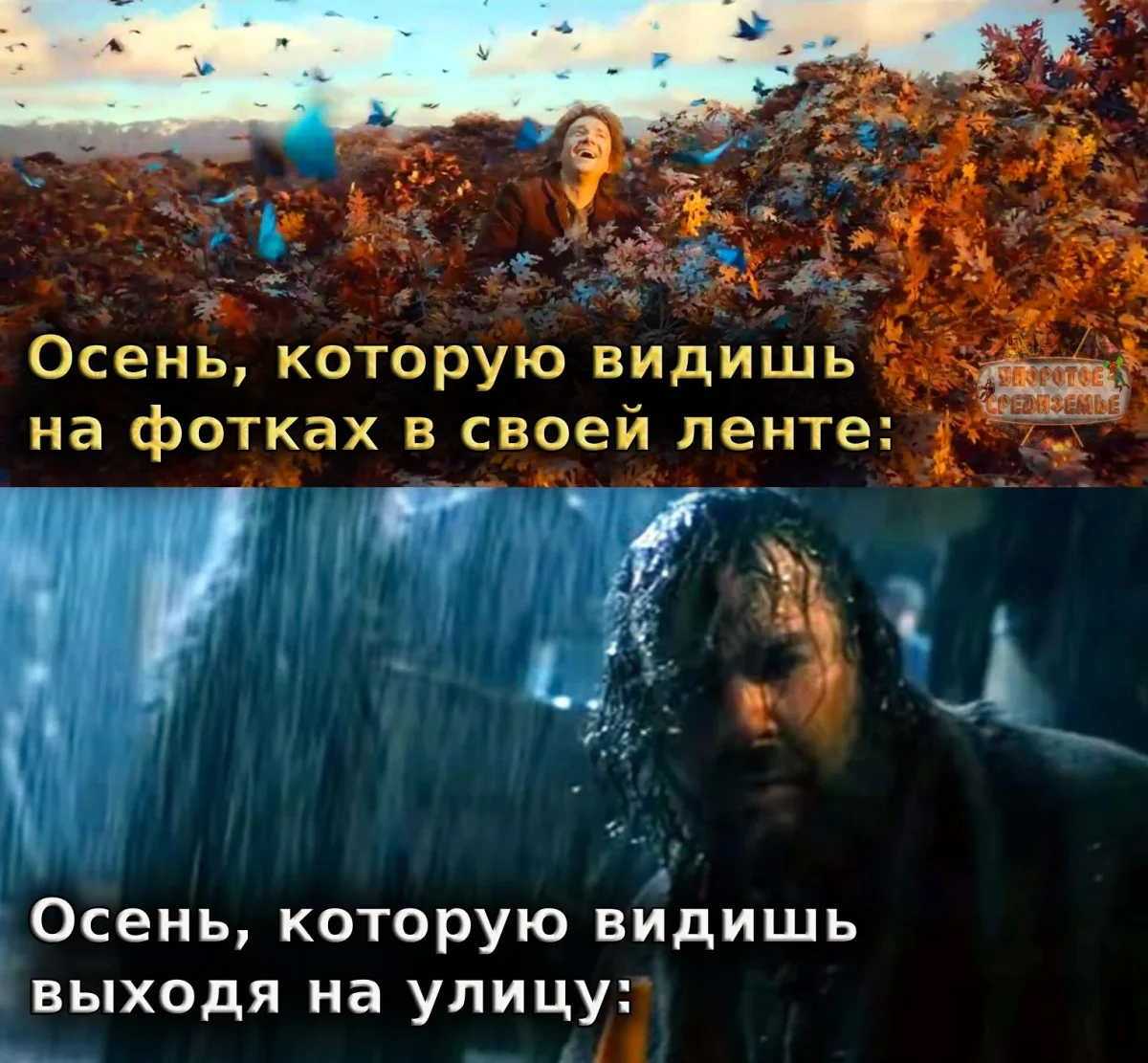 Осень в мемах: подборка, которая согреет мемы, осень, приколы, юмор, подборка