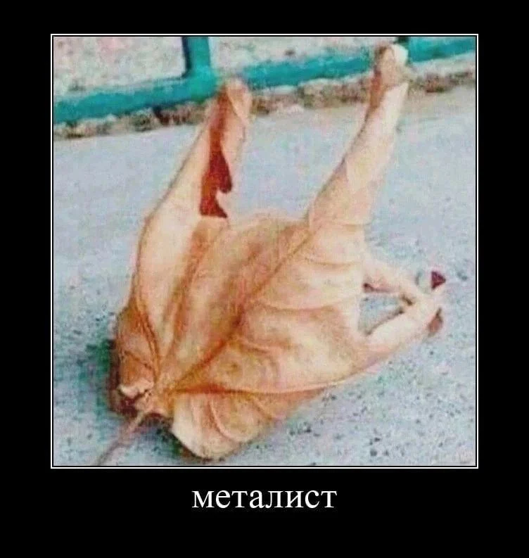 Осень в мемах: подборка, которая согреет мемы, осень, приколы, юмор, подборка