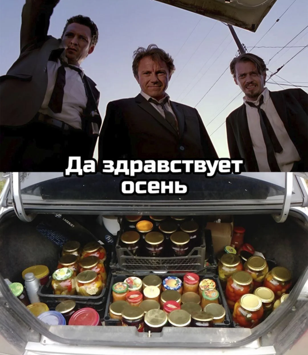 Осень в мемах: подборка, которая согреет мемы, осень, приколы, юмор, подборка